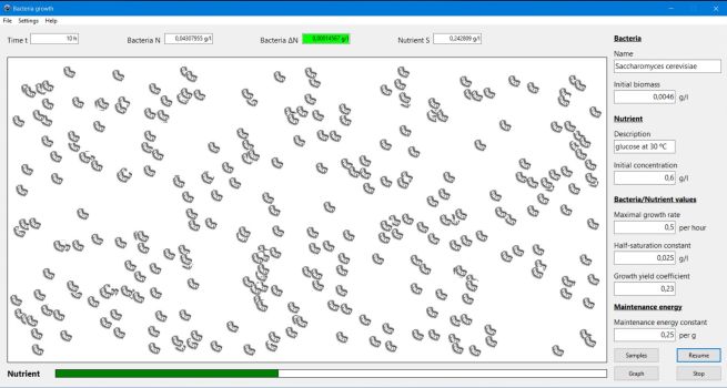 Bacteria growth on 1 substrat: Simulation window