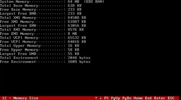 AIDA system information tool on FreeDOS: Memory usage [1]