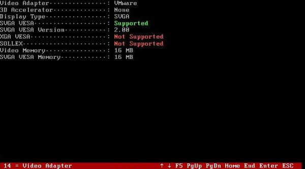 AIDA system information tool on FreeDOS: Video adapter information