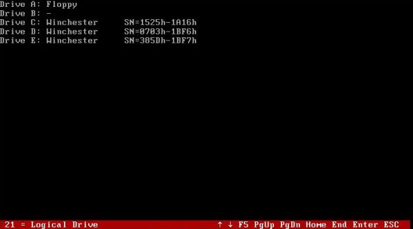 AIDA system information tool on FreeDOS: Logical drives information