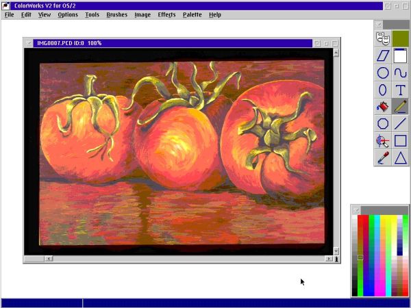 ColorWorks V2 on OS2 Warp 4 - One of the included .PCD picture samples opened in the editor