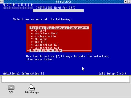 Microsoft Word on OS/2 1.3 - Installation: Conversions selection