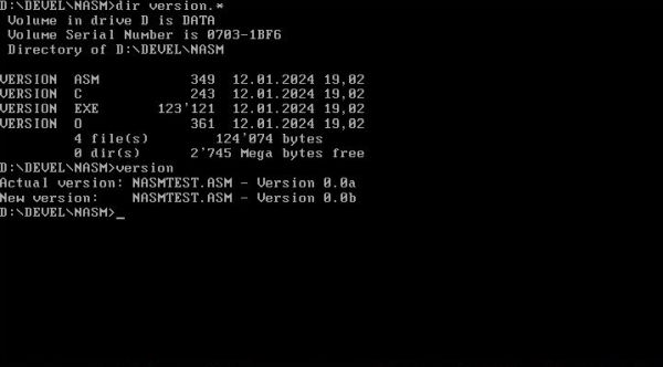 NASM on FreeDOS: Running a 32-bit assembly and C 'replace character in string' program