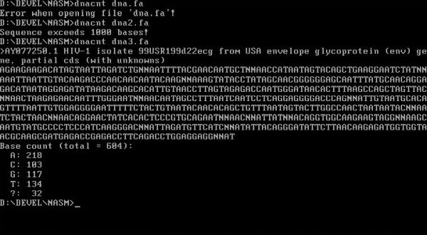 NASM on FreeDOS: Running a 32-bit assembly and C 'DNA bases count' program