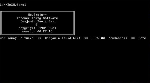 NBASM on MS-DOS 7.10: Output of the executable created by the 32-bit DPMI assembler