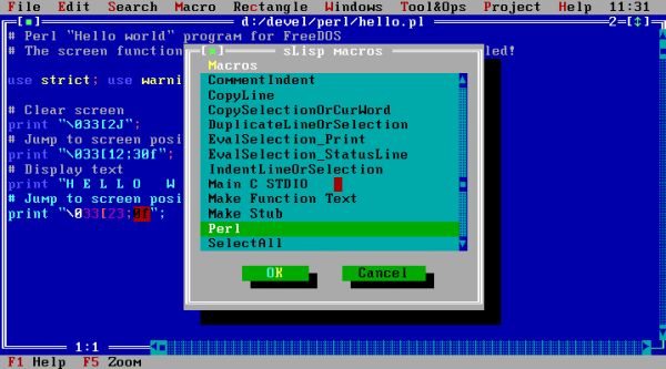 Perl on FreeDOS: SETEdit programmers editor - Choosing my custom macro to run Perl [2]