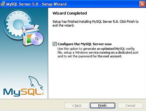 MySQL on Windows XP: Installation - Choosing to continue with the server configuration