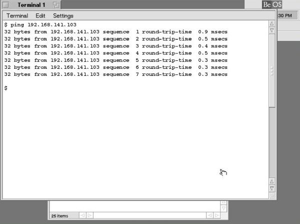 BeOS 5 Personal Edition post-installation setup: Network - Pinging a Windows 98 computer from BeOS