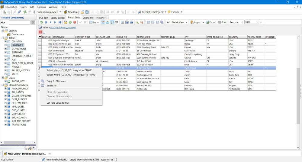 FlySpeed SQL Query: Tabular display of the query result dataset