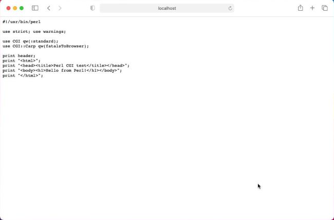 Perl CGI on macOS: Display of the script because CGI is not enabled by default