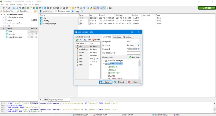 MariaDB: Defining database specific user priviledges [2]