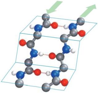 Secondary protein structure: antiparallel β-sheet