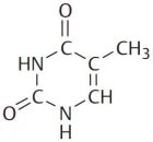 Nucleobases: Thymine